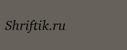 Charter Italic BT 